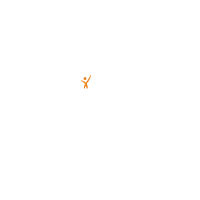 Accelerator Of Sales